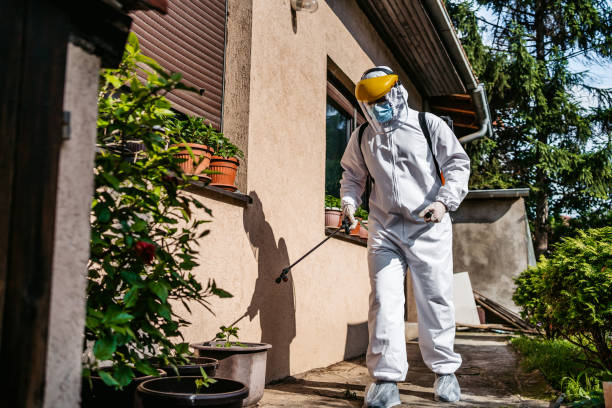 Best Pest Prevention Services  in Springmont, PA