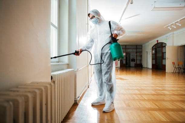 Best Pest Removal Services  in Springmont, PA